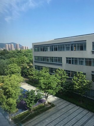 Täglicher Lernmodus