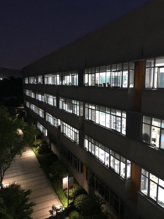 Nächtlicher Lernmodus