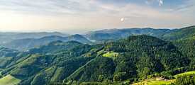 Selva Negra