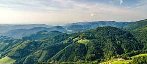 Black forest
