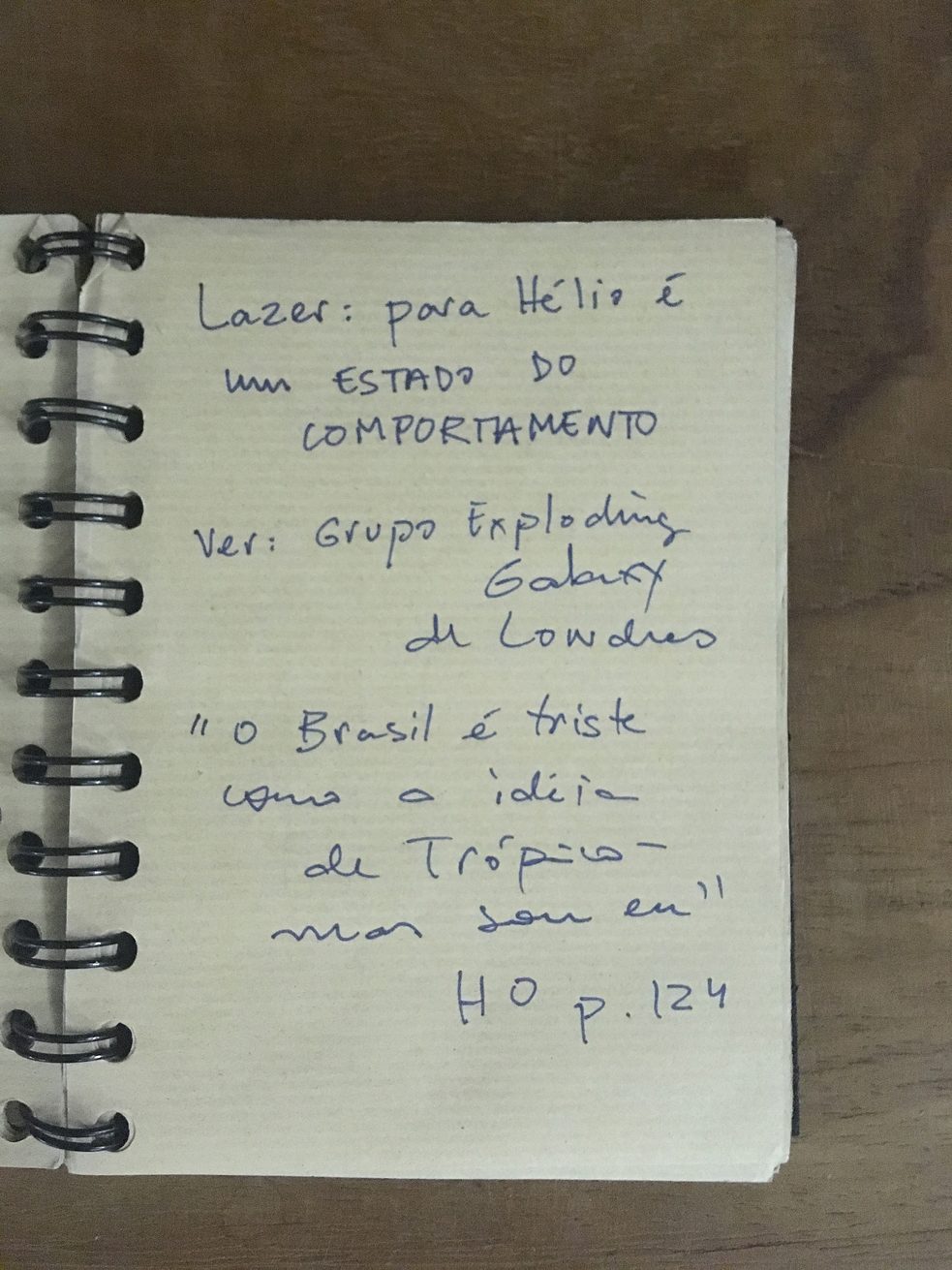 Caderno de notas da escritora carioca Laura Erber. Reprodução: Laura Erber.