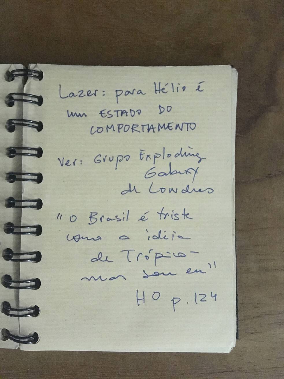 Cuaderno de notas de la escritora carioca Laura Erber. Foto: Laura Erber.