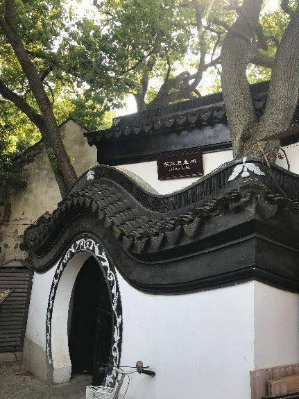 Auswahl an Toiletten 