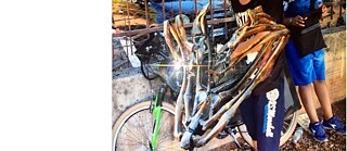 Derek MF Di Fabio, GALLA, 2019