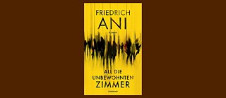Buchcover: All die unbewohnten Zimmer