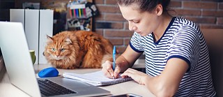 Online-Fortbildungen: flexibel, praxisnah und qualifiziert