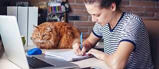 Online-Fortbildungen: flexibel, praxisnah und qualifiziert