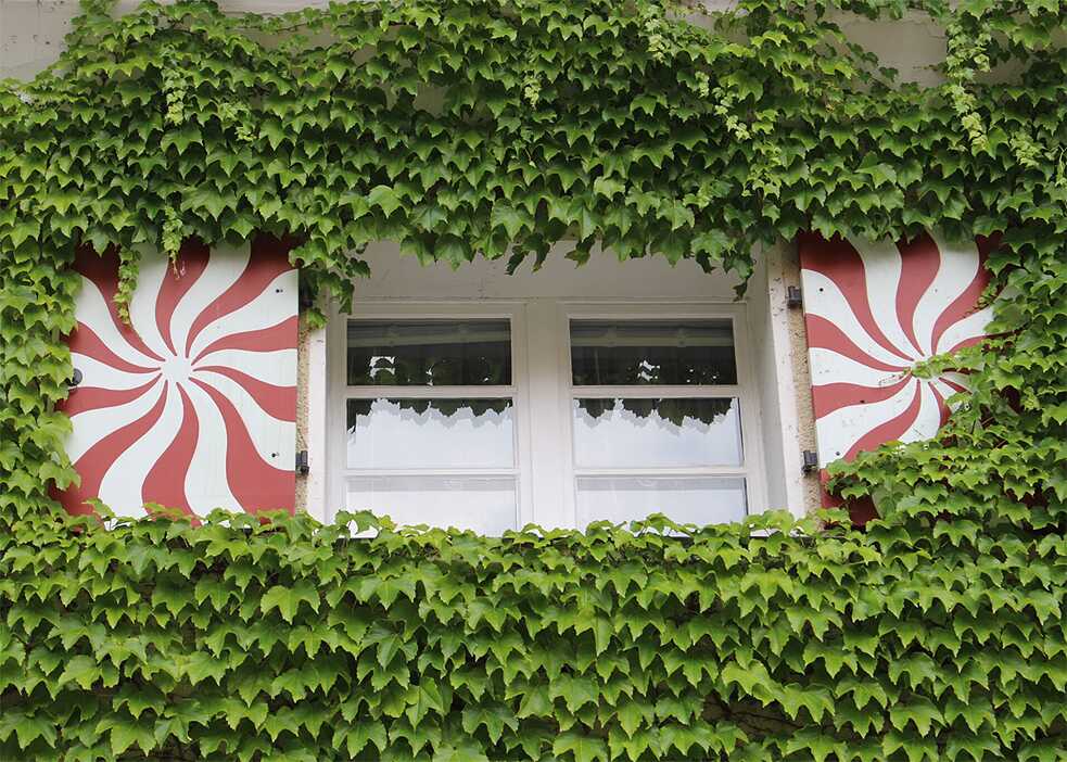 … andere sind bis in die oberen Etagen mit Efeu bedeckt.<br>Das eigene Haus mit Garten zu erschwinglichen Preisen, die sicheren, kinderfreundlichen Straßen, das viele Grün – das macht die Gartenstadt bis heute so attraktiv, dass die Wartelisten lang sind.