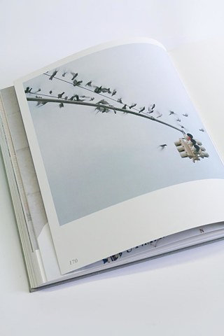 DFBP18-19_nSoleHarlem