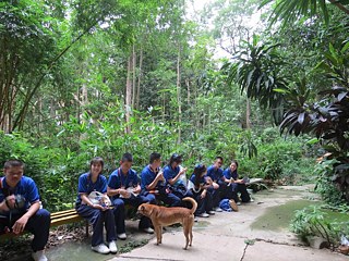 Kleine Wanderpause – Straßenhunde gibt es überall...
