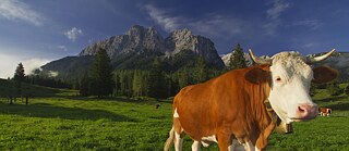 Obertauern na Áustria