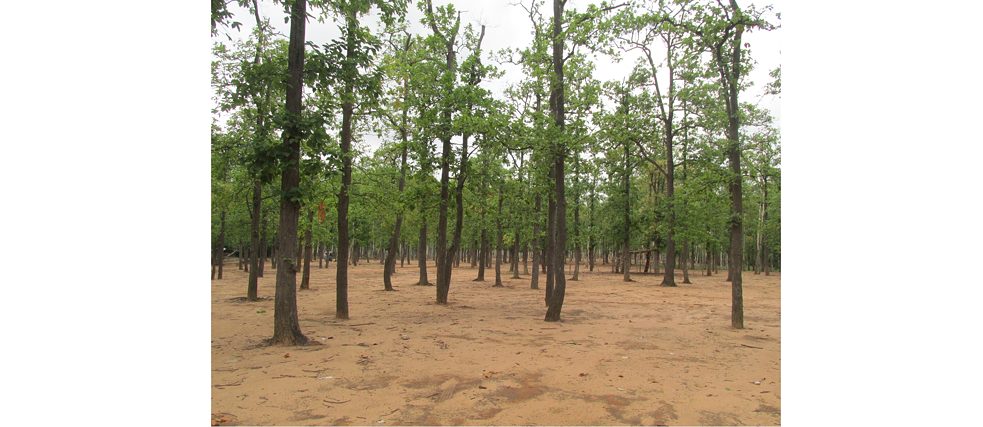 Coffee without Milk © Bhaskar Hazarika