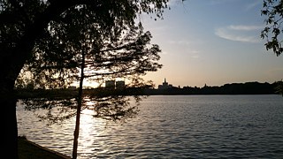 Wenn es dunkel wird, kommen viele aus ihren Löchern und tanzen auf den Straßen. Hier im Herastrau-Park ist es dagegen ruhig