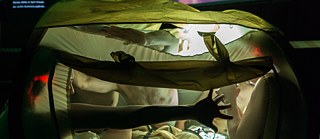 GOLDEN AGE OF EXTREMES 2