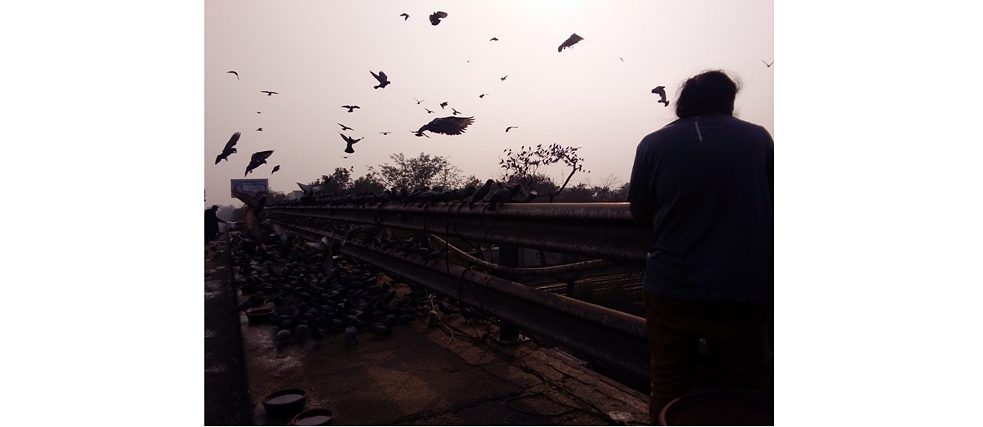 Bird Consultancies © Shaunak Sen