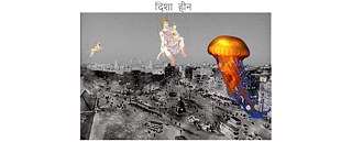 Blind Rabbit © Pallavi Paul