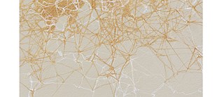 Gossamer © Dhara Mehrotra