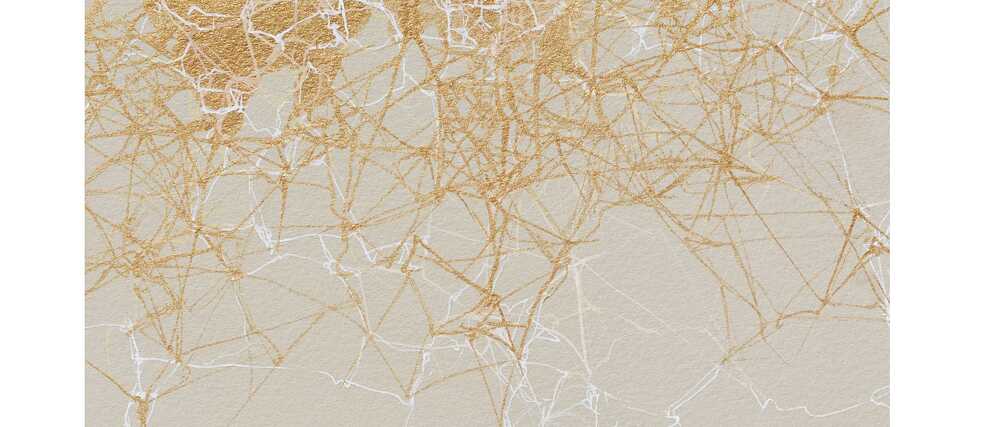 Gossamer © Dhara Mehrotra