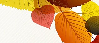 Herbstgespräche 2019