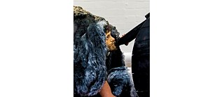 Sahej Rahal © Sahej Rahal