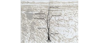 Harvest Laboratory © Dharmendra Prasad