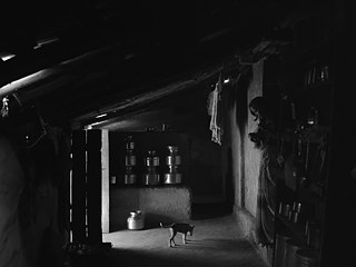 And What is the Summer Saying? © Payal Kapadia &copy; © Payal Kapadia And What is the Summer Saying?