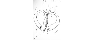 Open Call: Science-Art-Life Choir & Conference © Shreyans Iyer