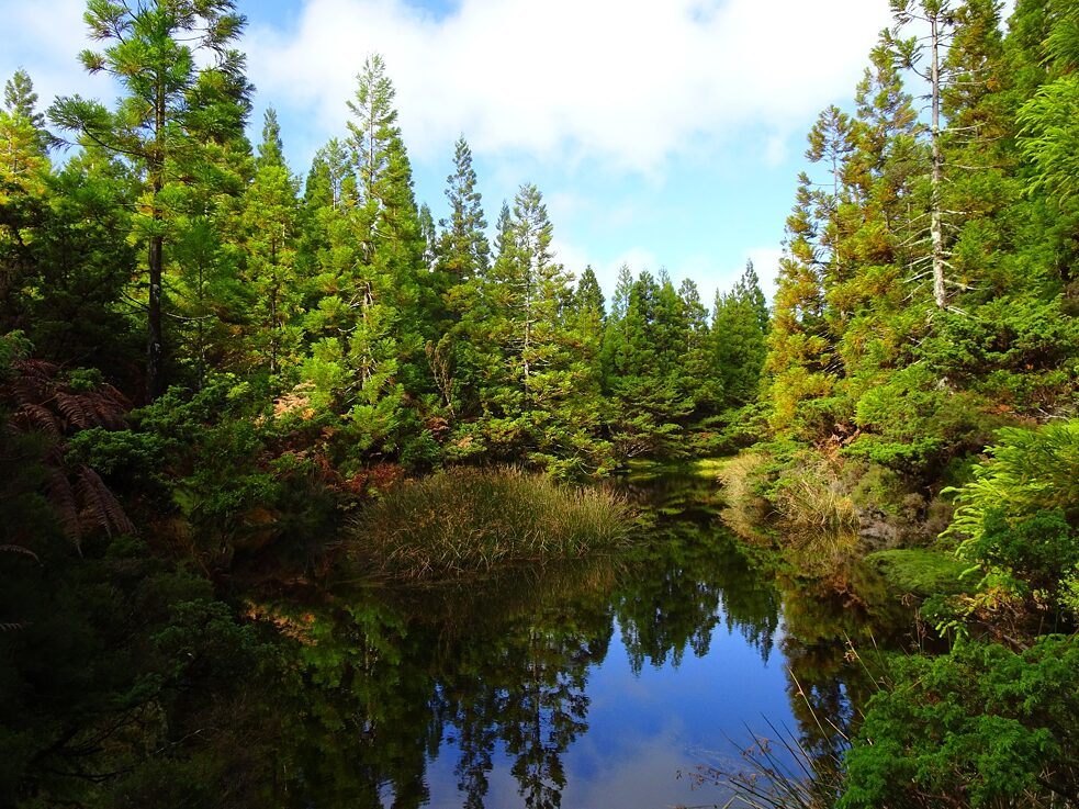 Ein schöner kleiner See