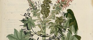 BOTANIC FICTIONS Kurzfilmabend