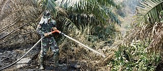 BOTANIC FICTIONS Langfilmabend