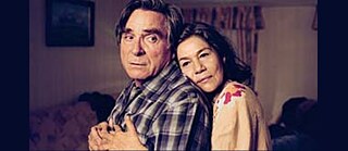 Cherry Blossoms - Hanami