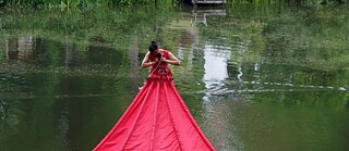 Food as a source of inspiration for performances