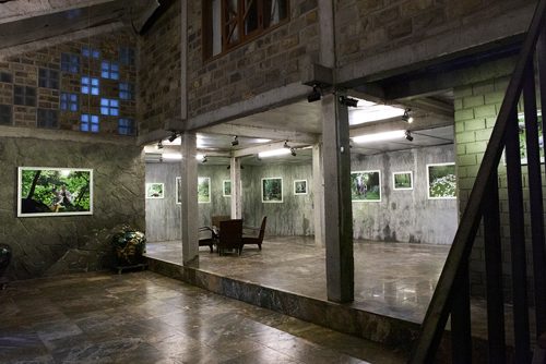 „Waldlife – Sandra Mann“ in der New Space Arts Foundation Gallery