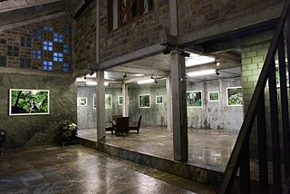 „Waldlife – Sandra Mann“ in der New Space Arts Foundation Gallery