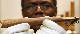 Wissenschaftler Ndzodo Awono zeigt im Schaumagazin des Überseemuseums Bremen eine Pfeife aus Kamerun