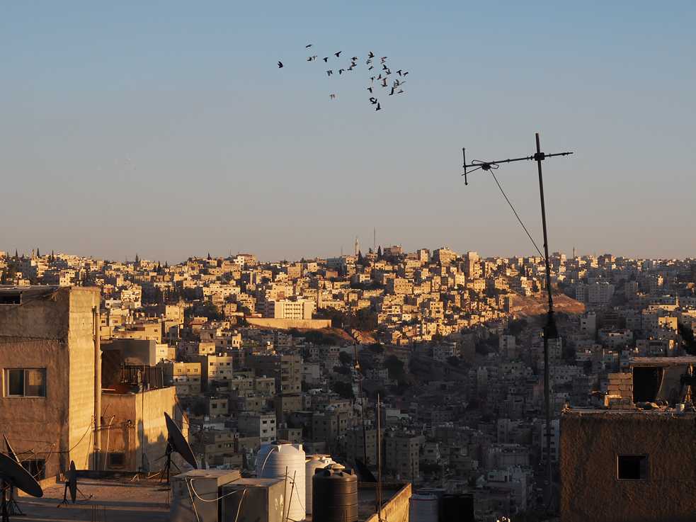 Amman