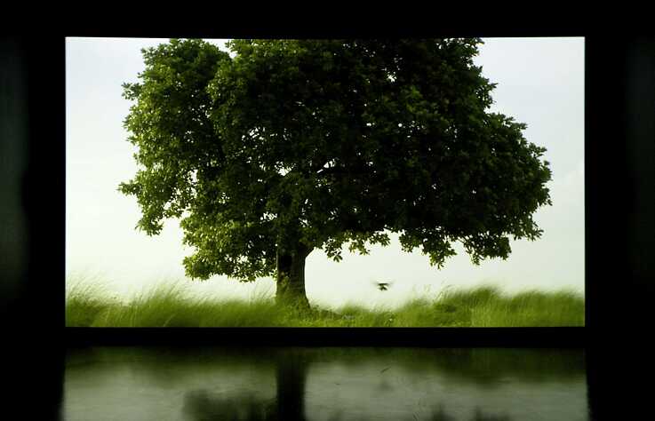 2015: The Sovereign Forest: By Amar Kanwar