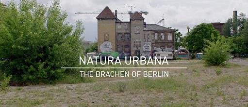 Natura Urbana – The Brachen of Berlin