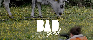 Bad Seed 
