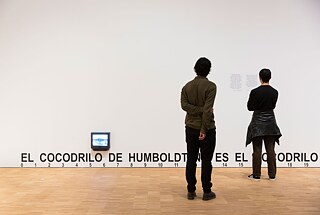 José Alejandro Restrepo <i>O crocodilo de Humboldt não é o crocodilo de Hegel</i>. A natureza das coisas. Foro Humboldt, Berlín, 2019.