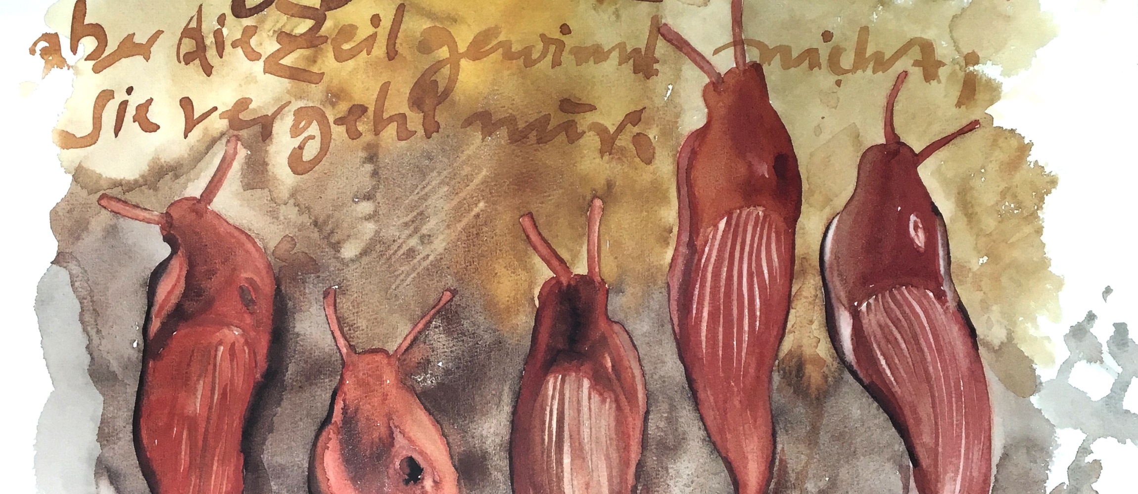 Exposición Günter Grass: del dibujo y la escritura 