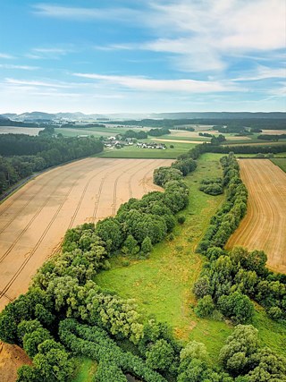 Зеленая полоса в Тюрингии-Баварии в Митвице, на родине идеи Зеленого пояса.