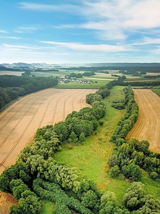 Das Grüne Band in Thüringen-Bayern bei Mitwitz, dem Geburtsort der Idee des Grünen Bandes. 