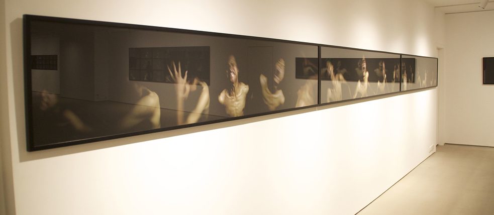 Noise Life by Desire Machine Collective