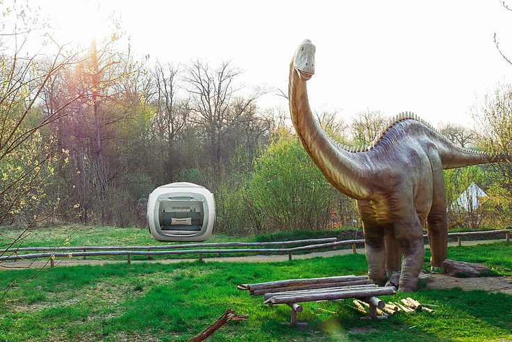 Sleeperoo in a dinosaur park