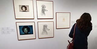 Trockel Tier &copy; © Goethe-Institut Trockel Tier