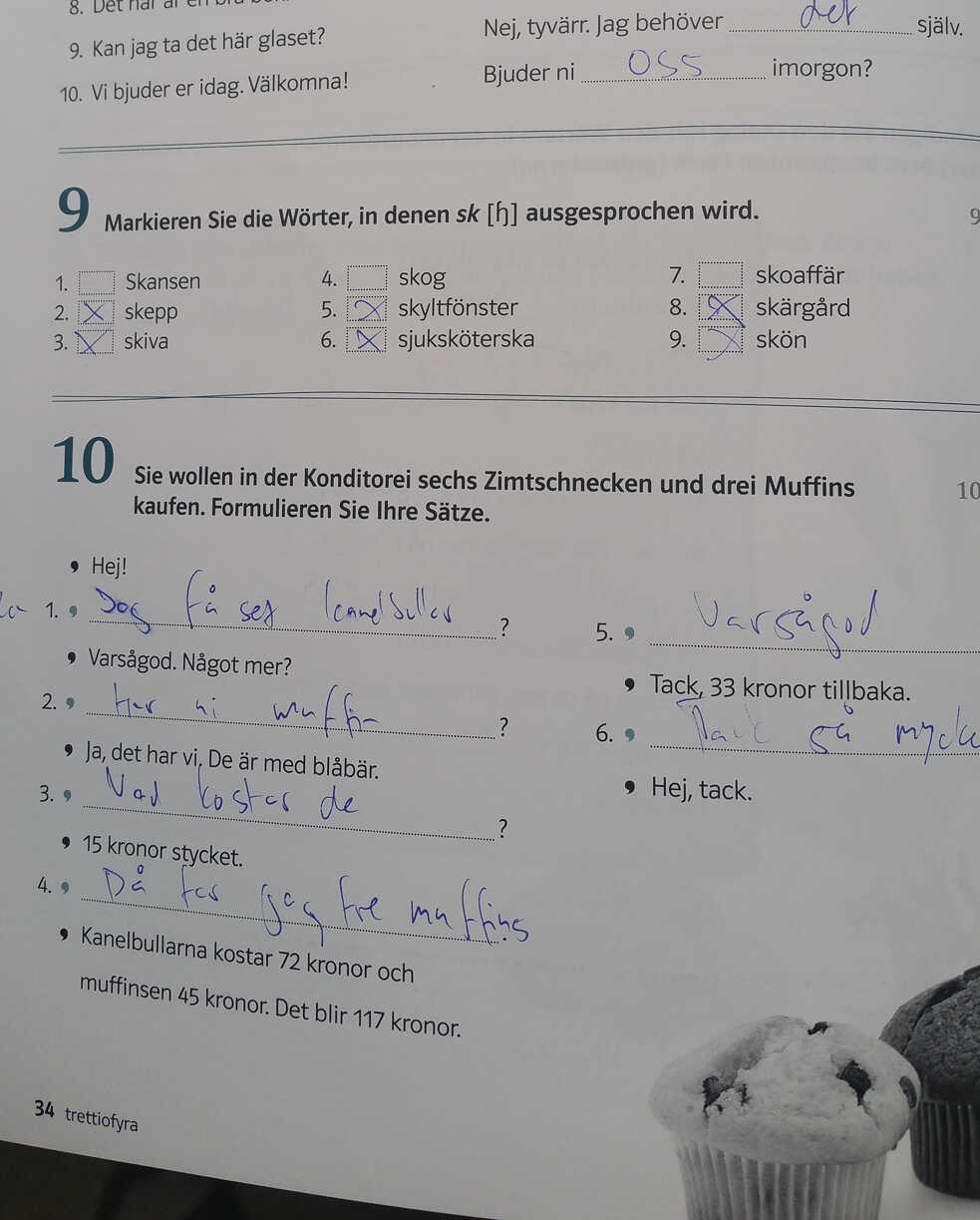 Eine Seite aus meinem aktuellen Schwedischlehrbuch