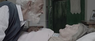 "Fig" von Nicolas Kolovos &copy; (c) Nicolas Kolovos "Fig" von Nicolas Kolovos