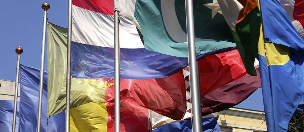 A sea of flags