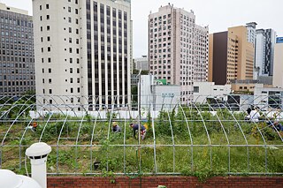 Urbaner Gartenbau 3